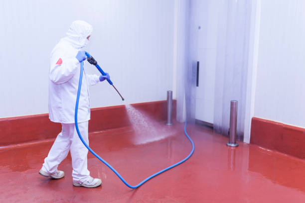 Paint Preparation in Forreston, IL